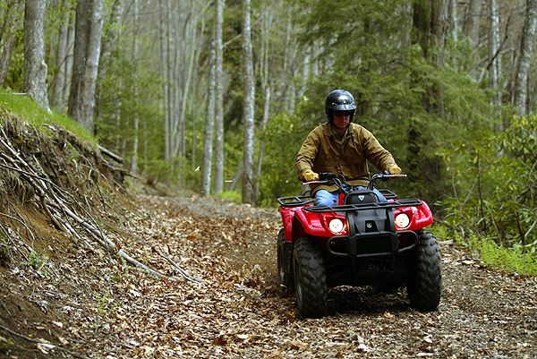 03kodiak450Red_von vorne im Wald