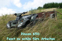 Rincon 650:
Fasst zu schn frs Arbeiten